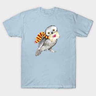 Owl with love letter, i love you T-Shirt